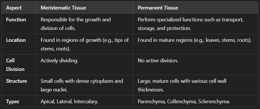 Difference Between Meristematic and Permanent Tissue (Plant)